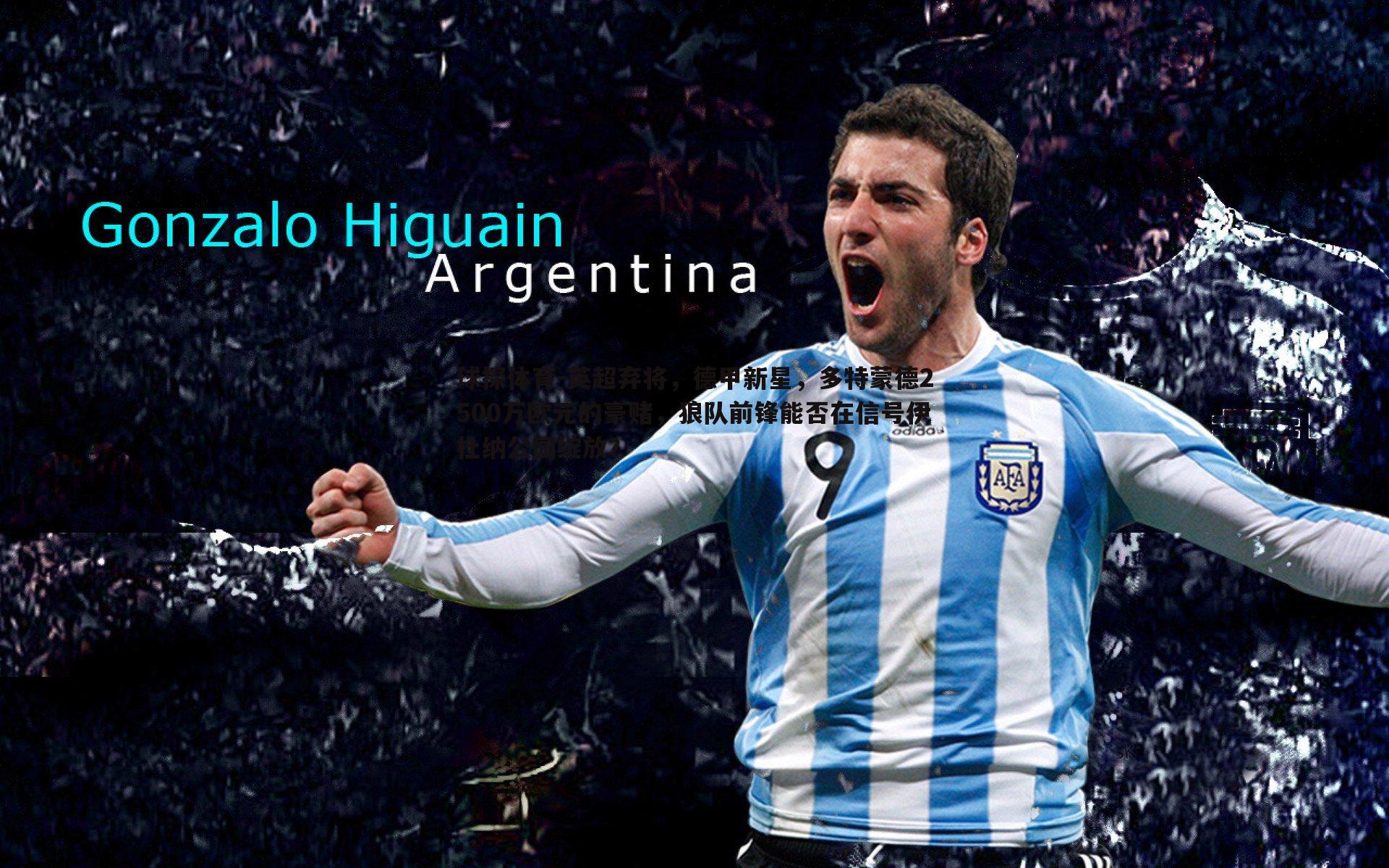 英超弃将，德甲新星，多特蒙德2500万欧元的豪赌，狼队前锋能否在信号伊杜纳公园绽放？